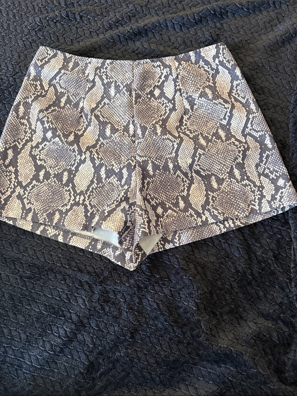 XOXO High Waist Snake Print Shorts in Beige and Gray
